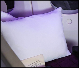 Air New Zealand pillow