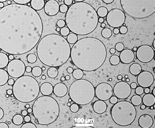 Silica microcapsule patent image