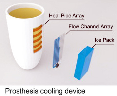 Prothesis cooling device