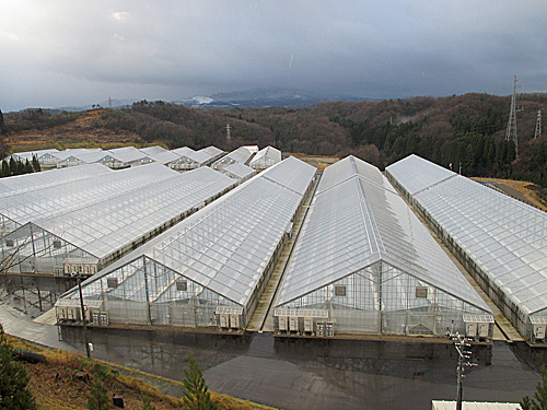 TKS greenhouses in Toyama, Japan